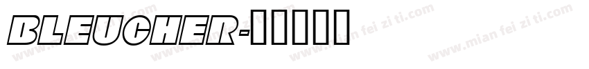 BLEUCHER字体转换