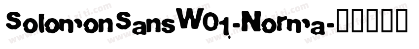SolomonSansW01-Norma字体转换