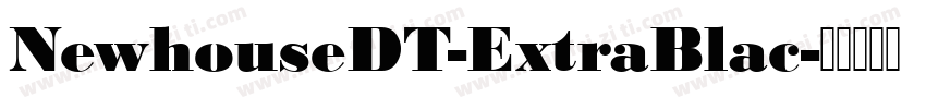 NewhouseDT-ExtraBlac字体转换