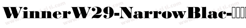 WinnerW29-NarrowBlac字体转换