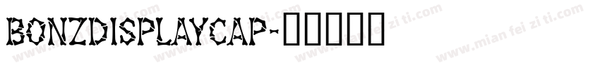 BonzDisplayCap字体转换