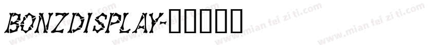 BonzDisplay字体转换