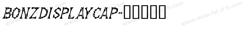 BonzDisplayCap字体转换