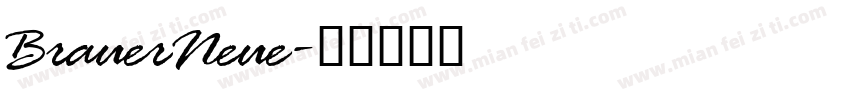 BrauerNeue字体转换