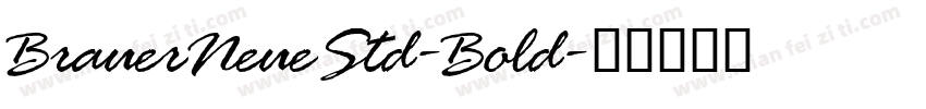 BrauerNeueStd-Bold字体转换