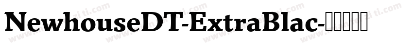 NewhouseDT-ExtraBlac字体转换