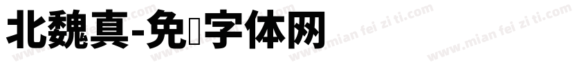 北魏真字体转换