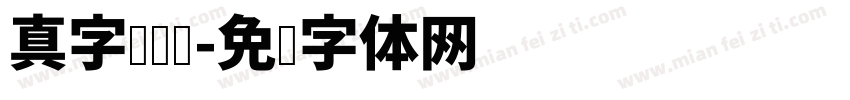 真字库设计字体转换