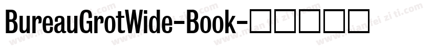 BureauGrotWide-Book字体转换