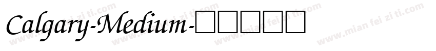 Calgary-Medium字体转换