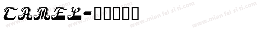 CAMEL字体转换