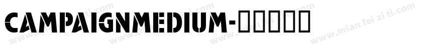 campaignMedium字体转换