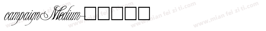 campaignMedium字体转换