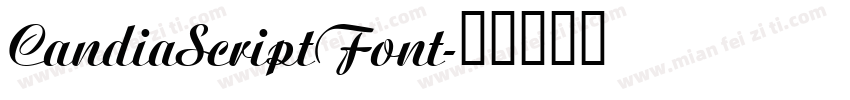 CandiaScriptFont字体转换