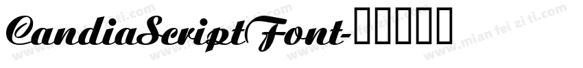CandiaScriptFont字体转换