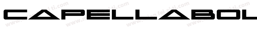 CapellaBoldItalic-l3zw字体转换