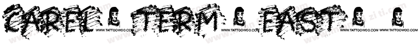 CAREL_TERM_EAST字体转换