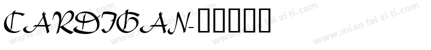 CARDIGAN字体转换