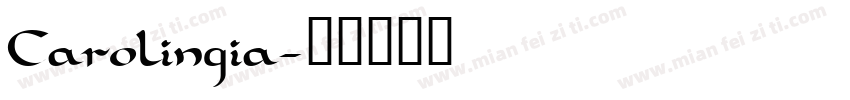 Carolingia字体转换