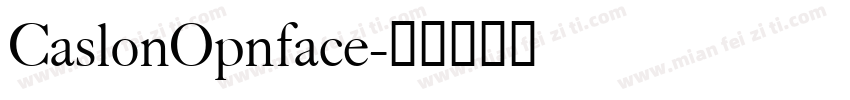 CaslonOpnface字体转换