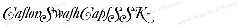 CaslonSwashCapsSSK字体转换