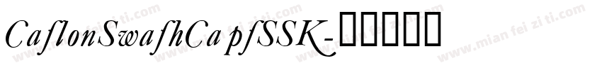 CaslonSwashCapsSSK字体转换