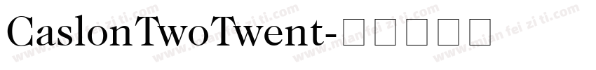 CaslonTwoTwent字体转换