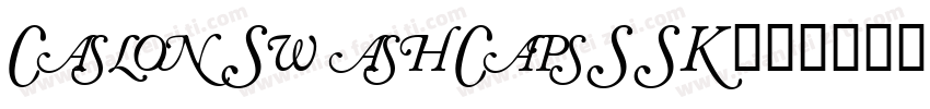 CaslonSwashCapsSSK字体转换