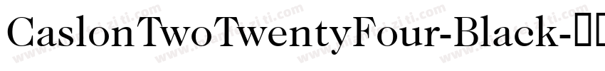 CaslonTwoTwentyFour-Black字体转换