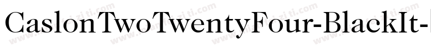 CaslonTwoTwentyFour-BlackIt字体转换