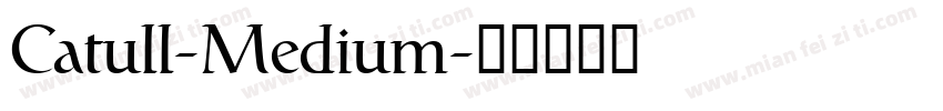 Catull-Medium字体转换