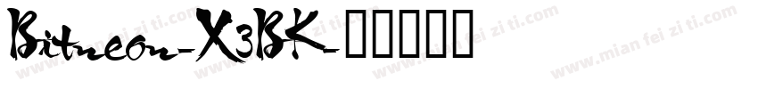 Bitneon-X3BK字体转换