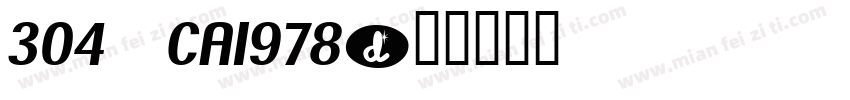 304—CA1978字体转换