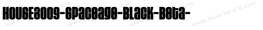 HOUSE3009-Spaceage-Black-Beta字体转换