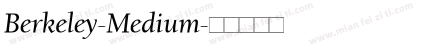 Berkeley-Medium字体转换