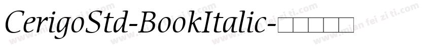 CerigoStd-BookItalic字体转换