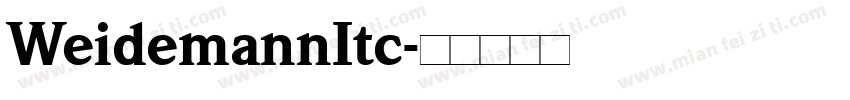 WeidemannItc字体转换
