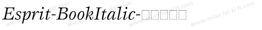 Esprit-BookItalic字体转换