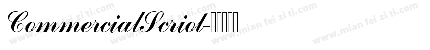 CommercialScriot字体转换