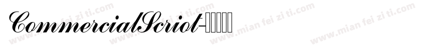 CommercialScriot字体转换