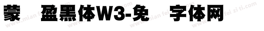 蒙纳盈黑体W3字体转换