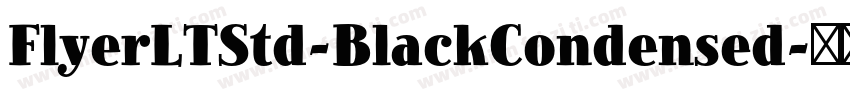 FlyerLTStd-BlackCondensed字体转换