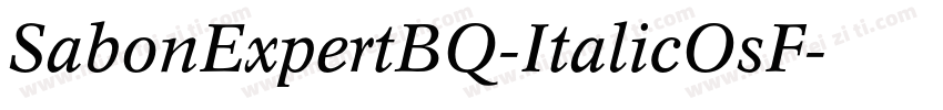 SabonExpertBQ-ItalicOsF字体转换