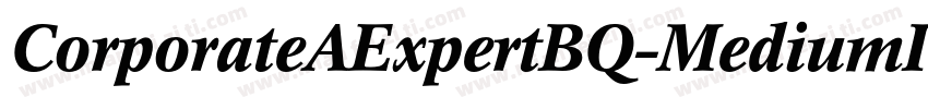 CorporateAExpertBQ-MediumItalicOsF字体转换