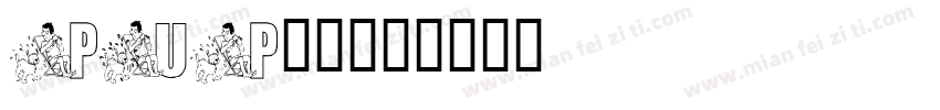 PUP字体字体转换