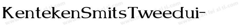KentekenSmitsTweedui字体转换