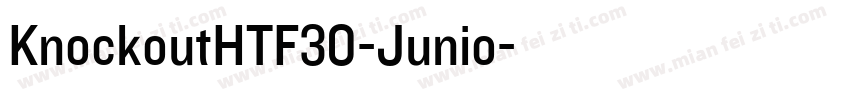 KnockoutHTF30-Junio字体转换