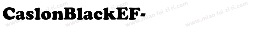 CaslonBlackEF字体转换