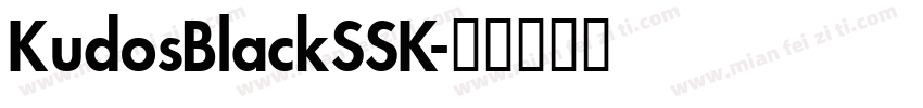 KudosBlackSSK字体转换