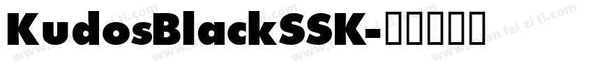 KudosBlackSSK字体转换